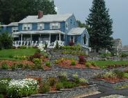 landscape design sod installation landscape planting
