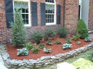 landscape planting