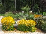 perennial gardening