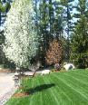 landscaping maintenance